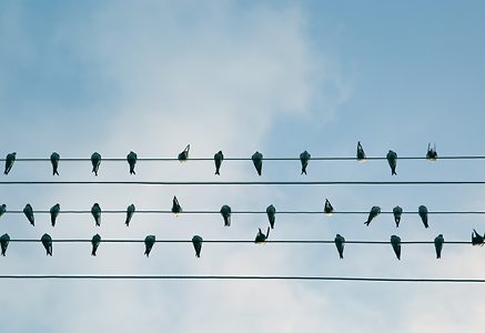 Partnerships