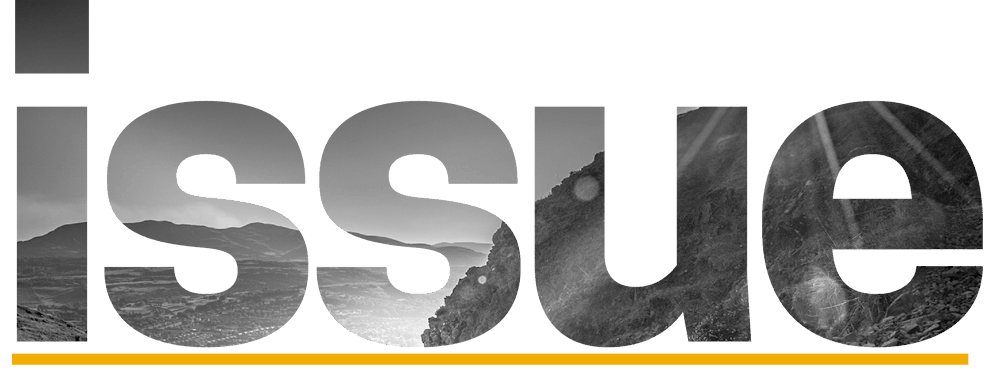 EFI Issue logo