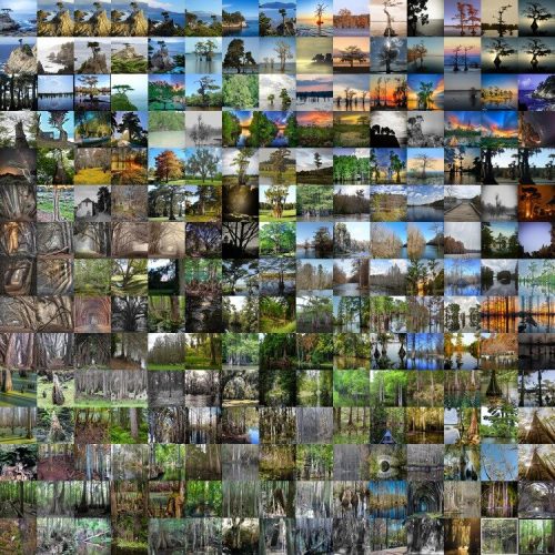AI is Human After All – The hidden human labour in autonomous systems