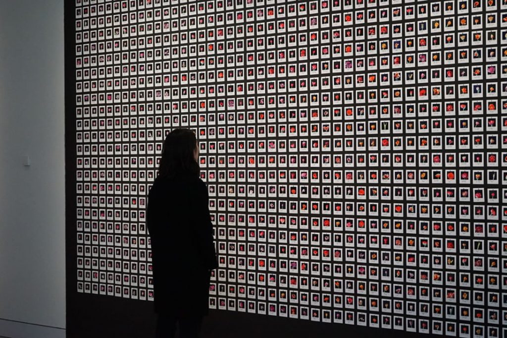 Image of Myriad (Tulips) artwork by Anna Ridler