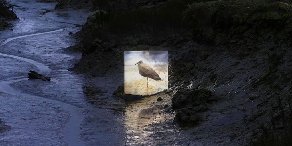 Image from Jake Elwes CUSP project