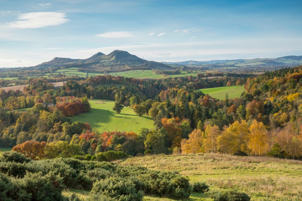 Why Scotland