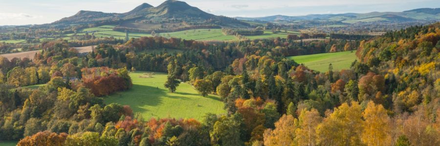Why Scotland