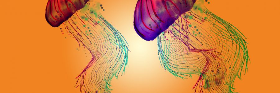 Data, Inequality and Society