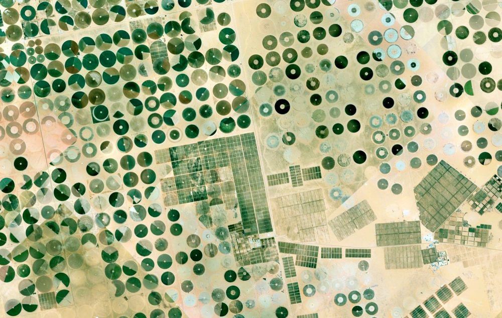 Art meets AI in a tangible exploration of global climate data in Edinburgh Science Festival Exhibition